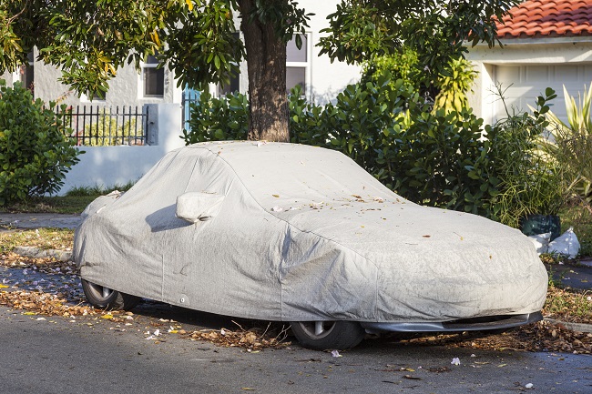 Preparations into Long-term Auto Storage